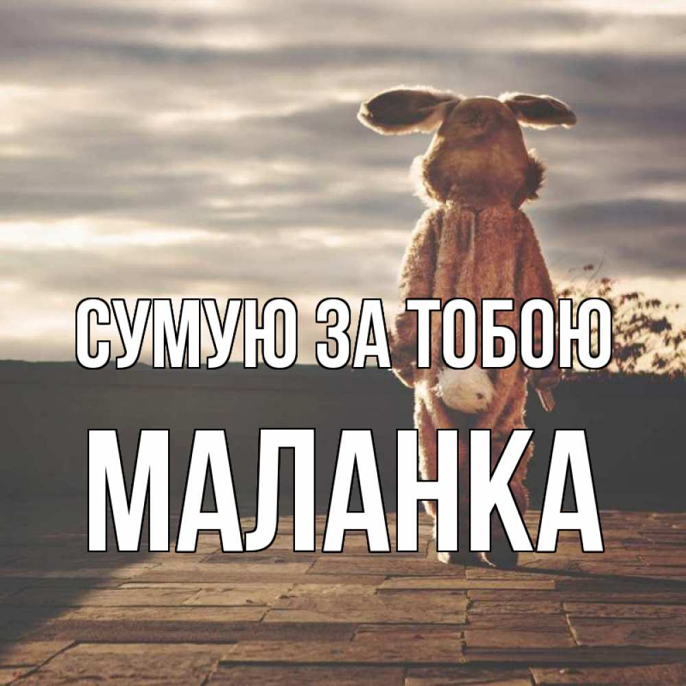 Открытка на каждый день з підписом, Маланка Сумую за тобою даже в костюме зайца Прикольна листівка з побажанням онлайн скачати безкоштовно 