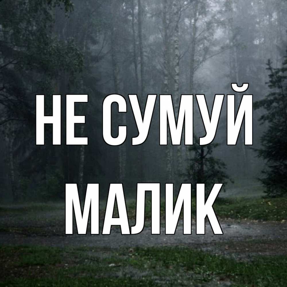 Открытка на каждый день з підписом, Малик Не сумуй осень Прикольна листівка з побажанням онлайн скачати безкоштовно 