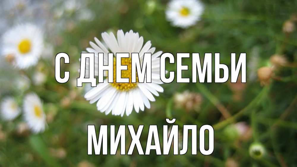 Открытка на каждый день з підписом, Михайло С днем семьи с днем семьи Прикольна листівка з побажанням онлайн скачати безкоштовно 