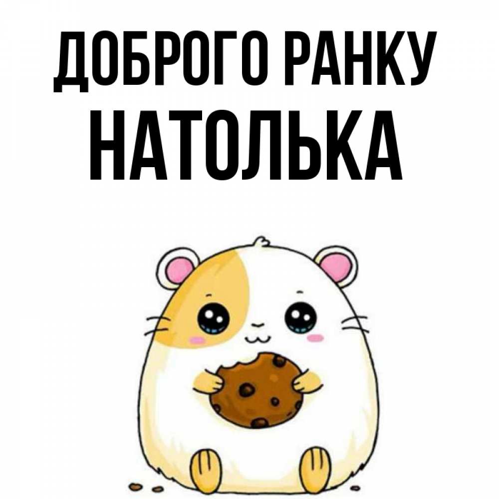 Открытка на каждый день з підписом, Натолька Доброго ранку есть печеньку. Утречко Прикольна листівка з побажанням онлайн скачати безкоштовно 
