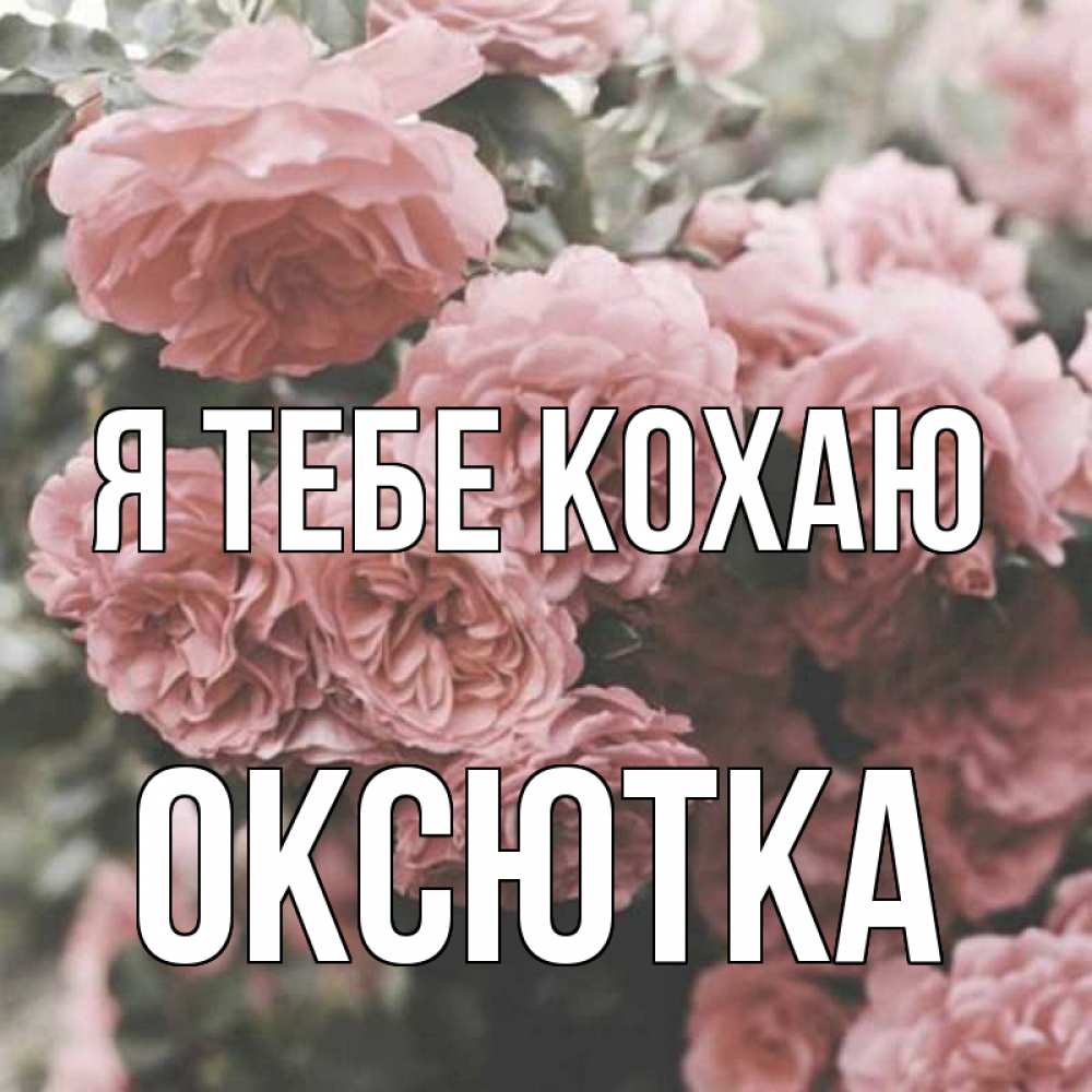 Открытка на каждый день з підписом, Оксютка Я тебе кохаю розы 3 Прикольна листівка з побажанням онлайн скачати безкоштовно 