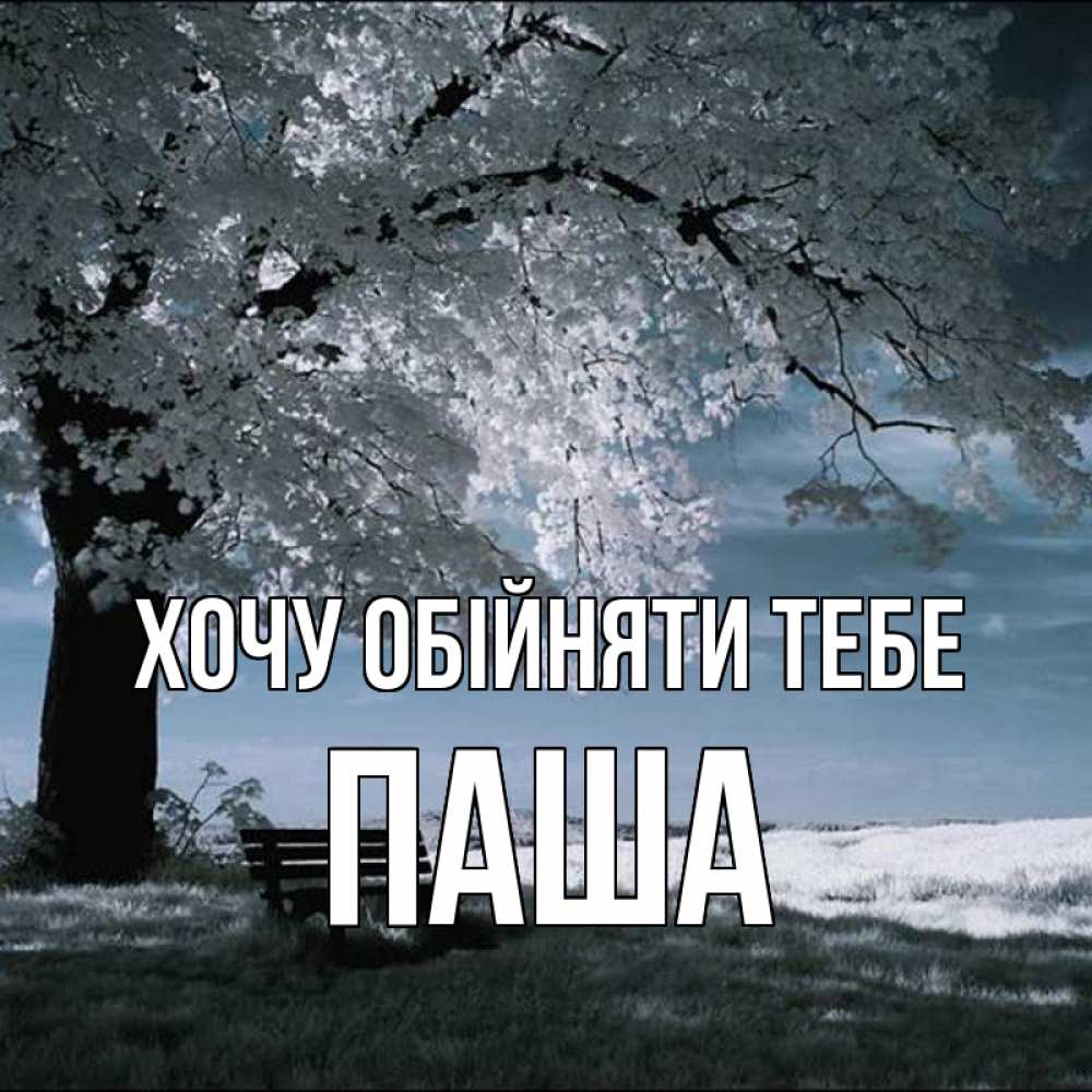Открытка на каждый день з підписом, Паша Хочу обійняти тебе дерево Прикольна листівка з побажанням онлайн скачати безкоштовно 