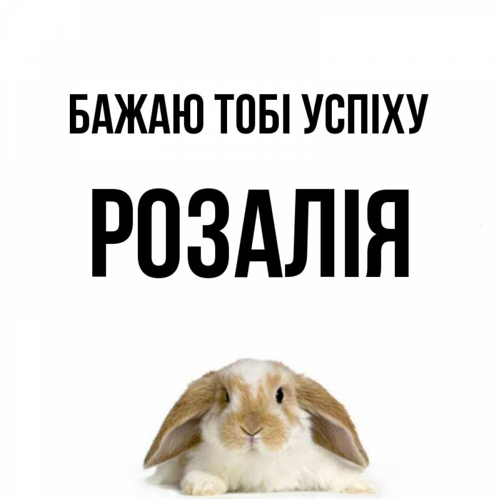 Открытка на каждый день з підписом, Розалія Бажаю тобі успіху открытки с произвольным текстом который можно вставить в открытку и создать ее самостоятельно бесплатно онлайн Прикольна листівка з побажанням онлайн скачати безкоштовно 
