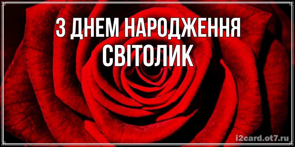 Открытка на каждый день з підписом, Світолик З Днем народження алая роза Прикольна листівка з побажанням онлайн скачати безкоштовно 