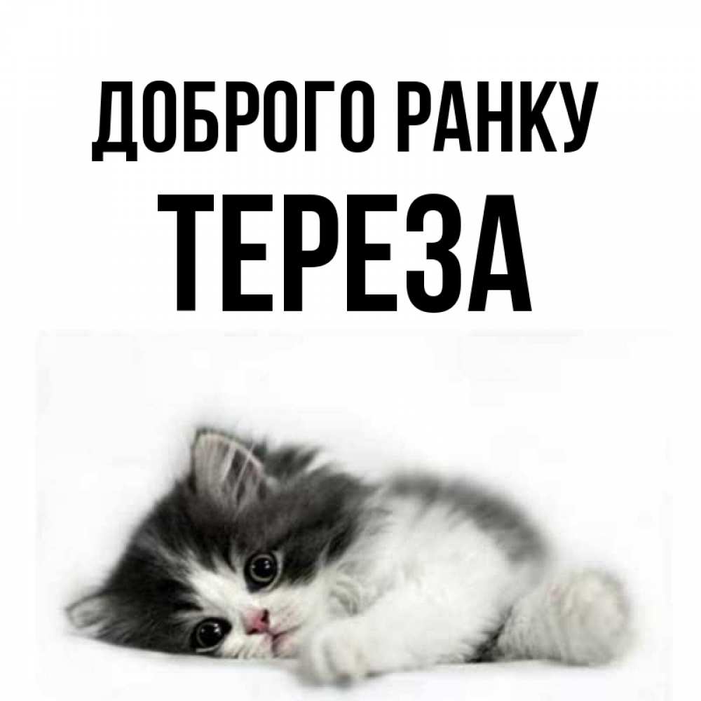 Открытка на каждый день з підписом, Тереза Доброго ранку кот лапки Прикольна листівка з побажанням онлайн скачати безкоштовно 