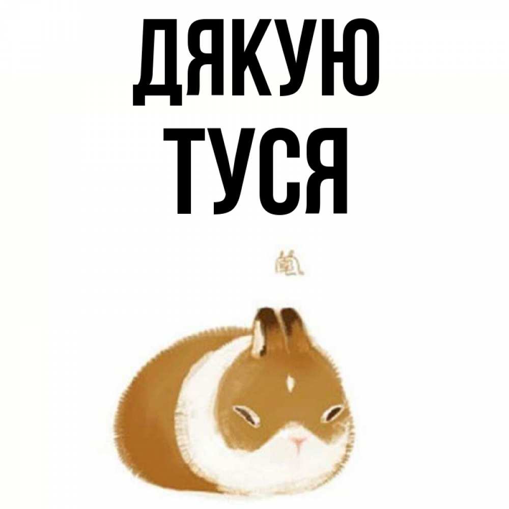 Открытка на каждый день з підписом, Туся Дякую коричнево белый домашний питомец Прикольна листівка з побажанням онлайн скачати безкоштовно 