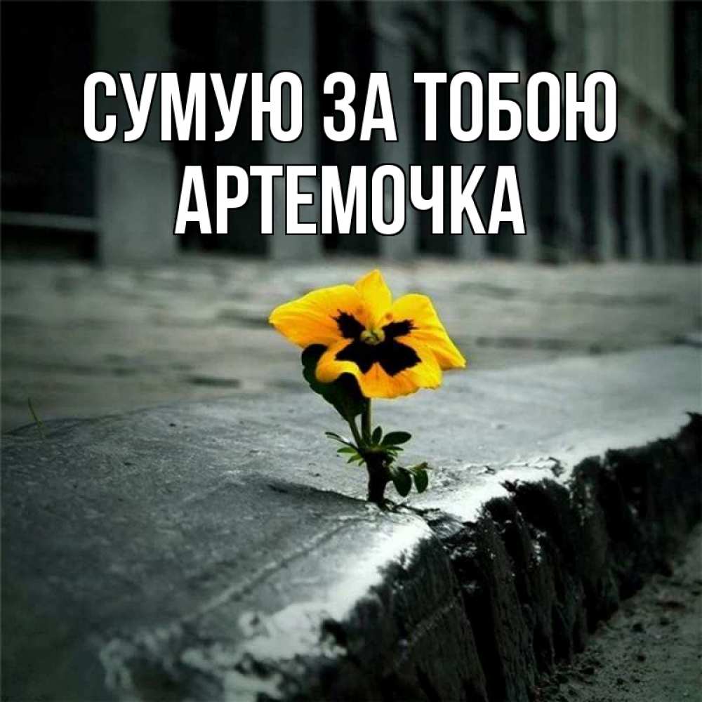 Открытка на каждый день з підписом, Артемочка Сумую за тобою надеюсь будет лучше Прикольна листівка з побажанням онлайн скачати безкоштовно 
