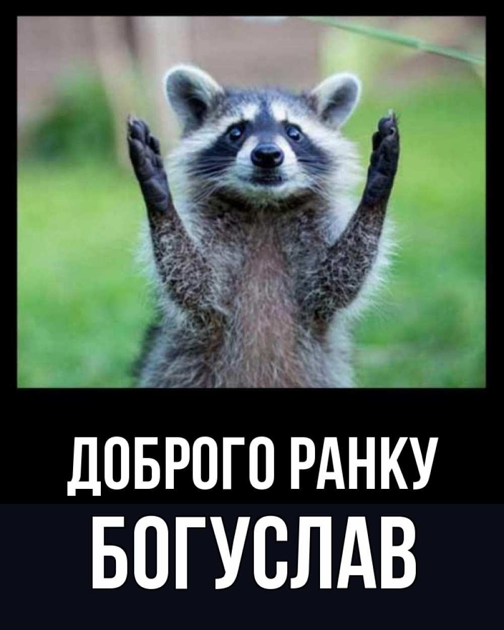 Открытка на каждый день з підписом, Богуслав Доброго ранку хорошее настроение утречком Прикольна листівка з побажанням онлайн скачати безкоштовно 