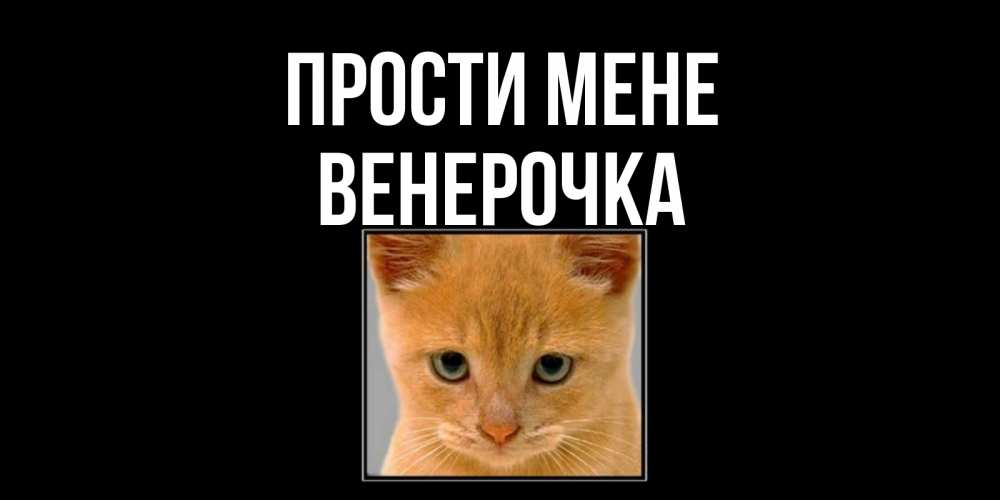 Открытка на каждый день з підписом, Венерочка Прости мене рыжий грустный кот просит прощения Прикольна листівка з побажанням онлайн скачати безкоштовно 