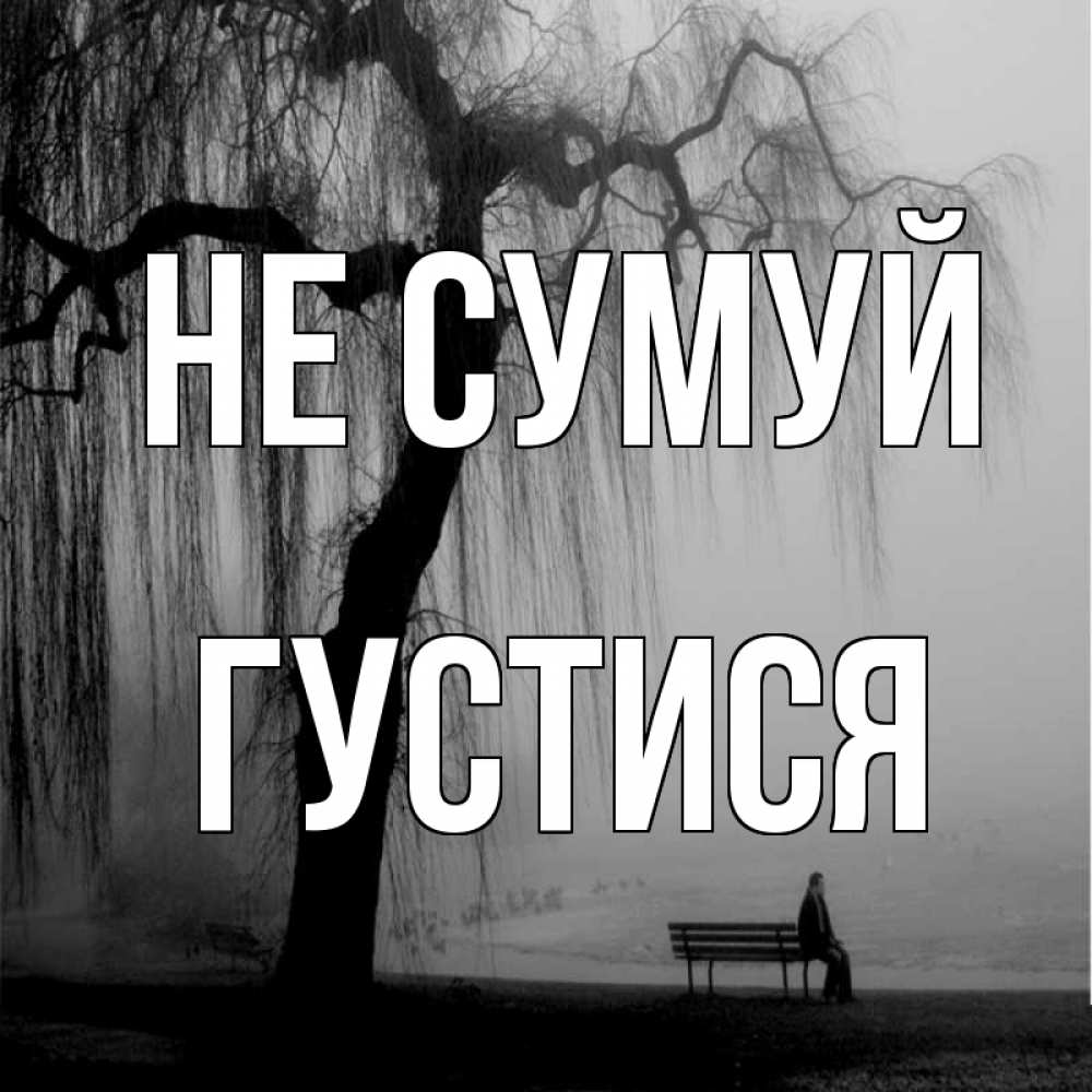 Открытка на каждый день з підписом, Густися Не сумуй висящие ветки дерева и лавочка под деревом Прикольна листівка з побажанням онлайн скачати безкоштовно 