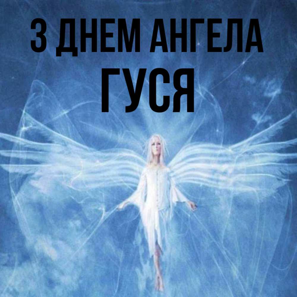 Открытка на каждый день з підписом, Гуся З Днем ангела голубой фон и крылья как у стрекозы Прикольна листівка з побажанням онлайн скачати безкоштовно 