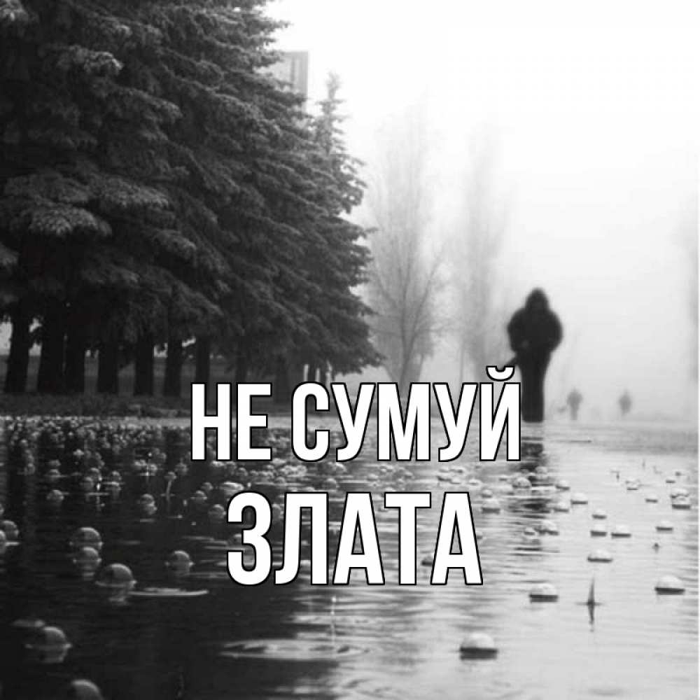Открытка на каждый день з підписом, Злата Не сумуй улица под дождем Прикольна листівка з побажанням онлайн скачати безкоштовно 