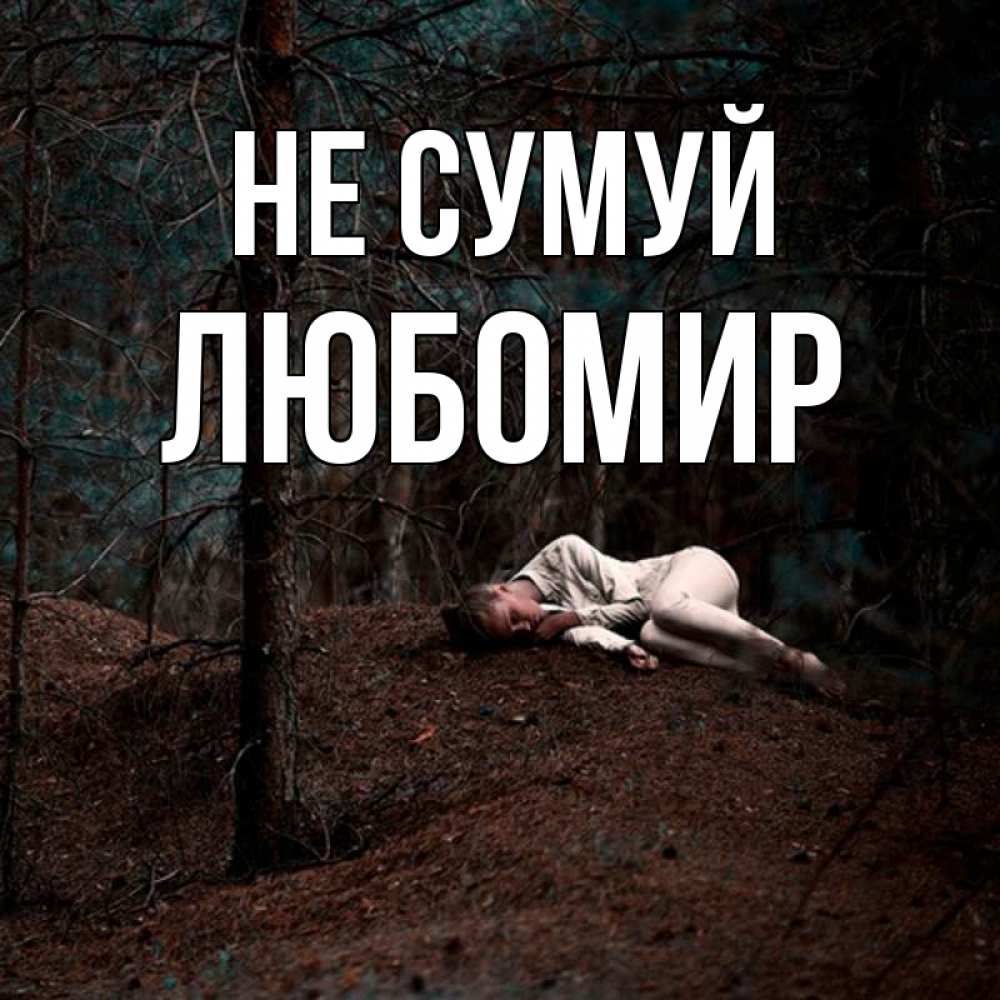 Открытка на каждый день з підписом, Любомир Не сумуй лес Прикольна листівка з побажанням онлайн скачати безкоштовно 