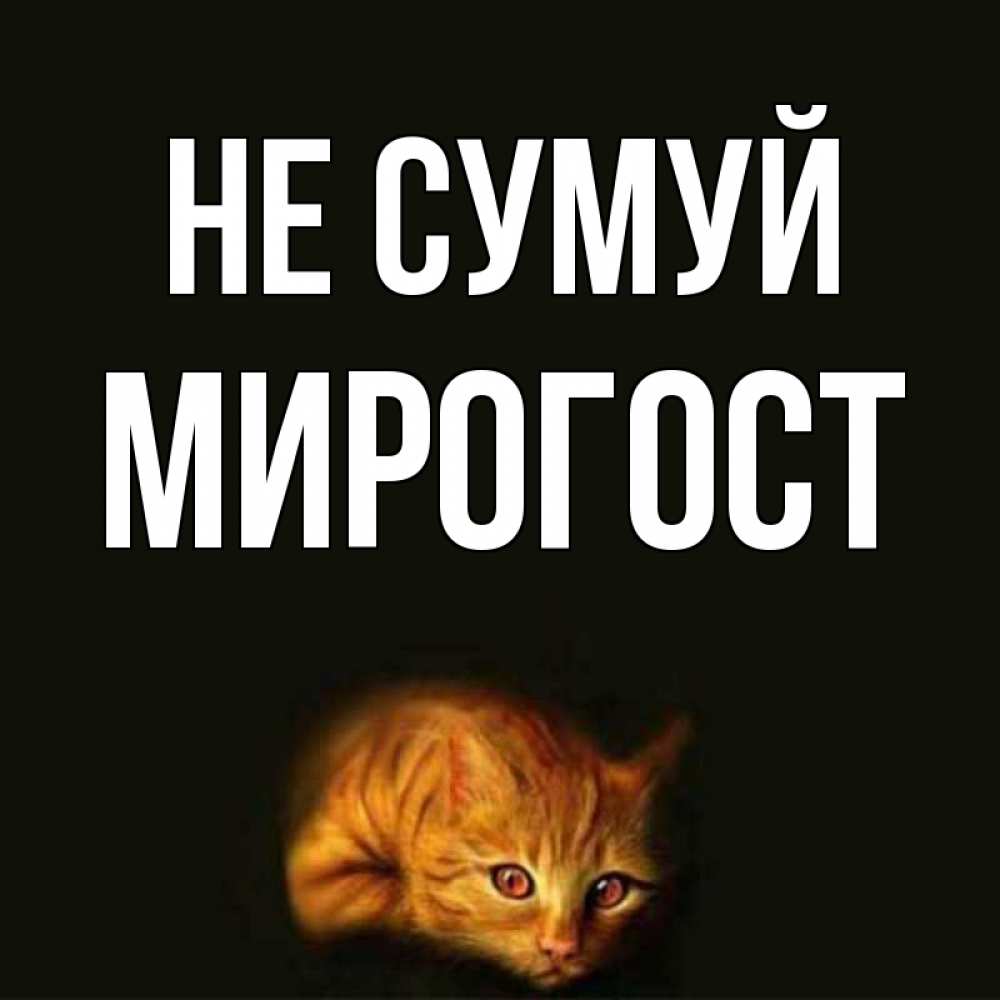 Открытка на каждый день з підписом, Мирогост Не сумуй лежащий кот в темноте Прикольна листівка з побажанням онлайн скачати безкоштовно 