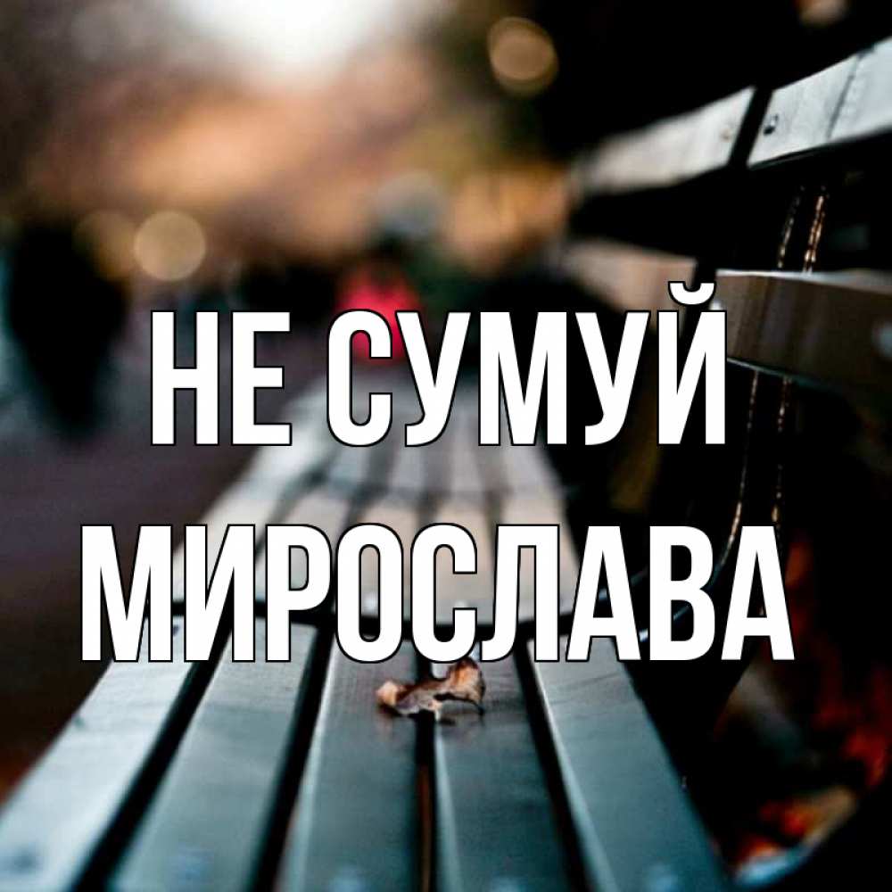 Открытка на каждый день з підписом, Мирослава Не сумуй размытый фон Прикольна листівка з побажанням онлайн скачати безкоштовно 