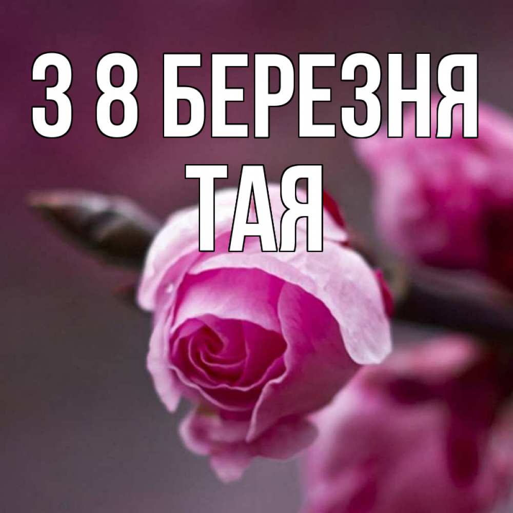 Открытка на каждый день з підписом, Тая З 8 БЕРЕЗНЯ весна Прикольна листівка з побажанням онлайн скачати безкоштовно 