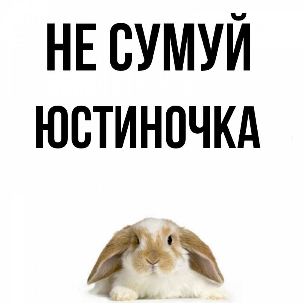 Открытка на каждый день з підписом, Юстиночка Не сумуй коричнево белый заяц с большими ушками Прикольна листівка з побажанням онлайн скачати безкоштовно 