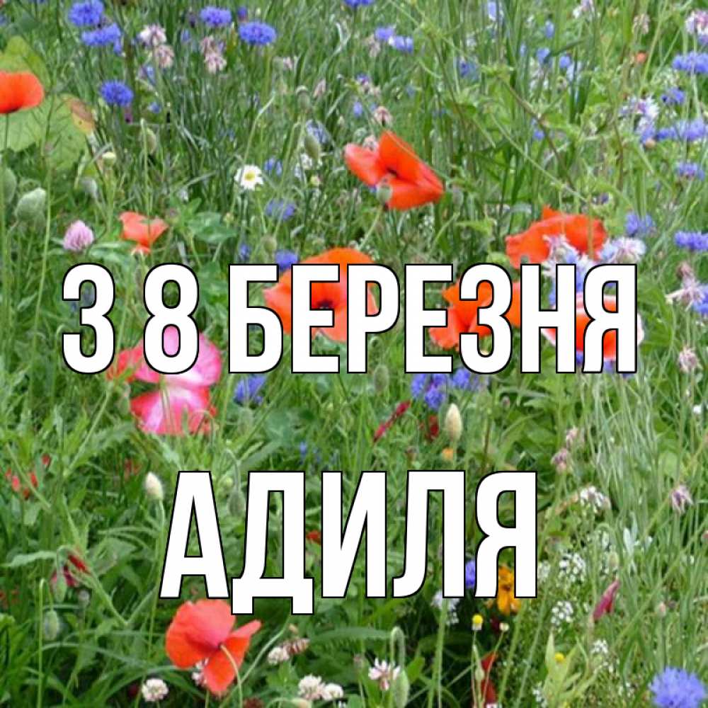 Открытка на каждый день з підписом, Адиля З 8 БЕРЕЗНЯ международный женский день 4 Прикольна листівка з побажанням онлайн скачати безкоштовно 