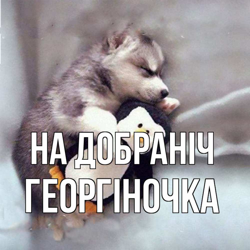 Открытка на каждый день з підписом, Георгіночка На добраніч обнимашки щенка и пингвина Прикольна листівка з побажанням онлайн скачати безкоштовно 