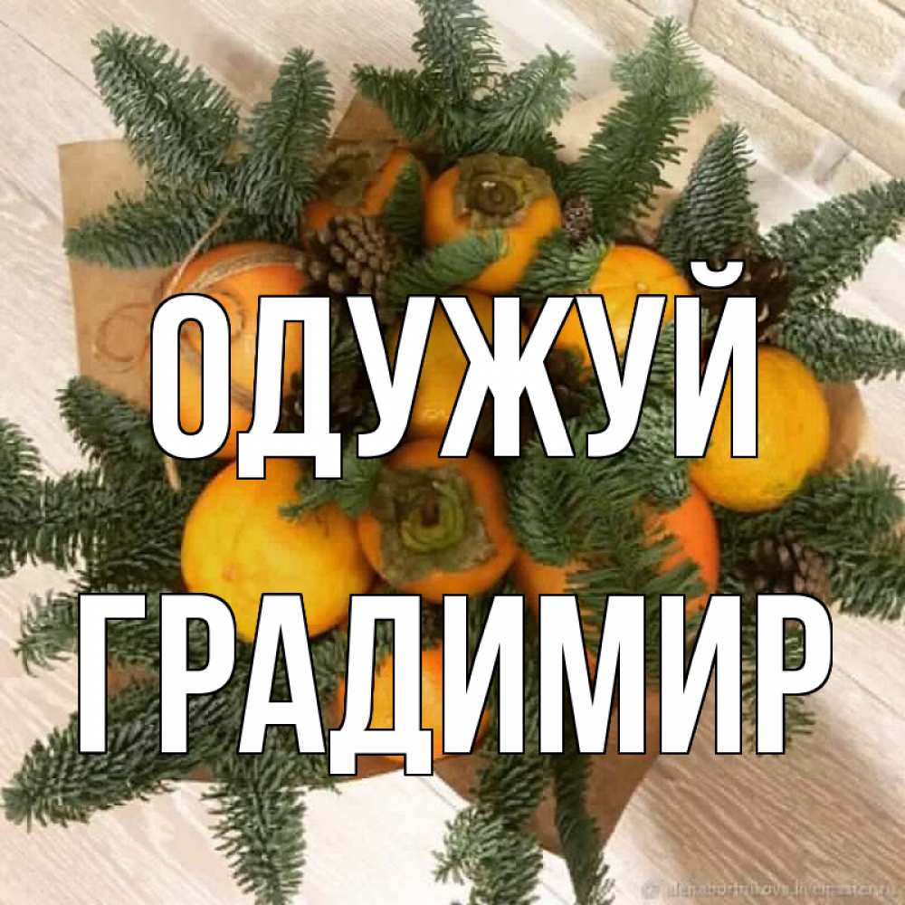 Открытка на каждый день з підписом, Градимир Одужуй апельсины и хурьма Прикольна листівка з побажанням онлайн скачати безкоштовно 