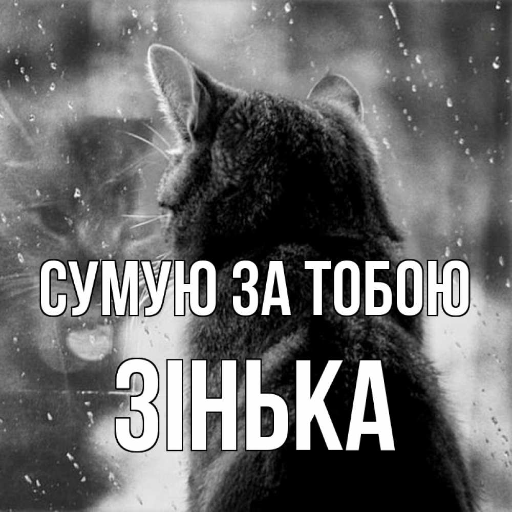 Открытка на каждый день з підписом, Зінька Сумую за тобою скорее ко мне приходи 1 Прикольна листівка з побажанням онлайн скачати безкоштовно 
