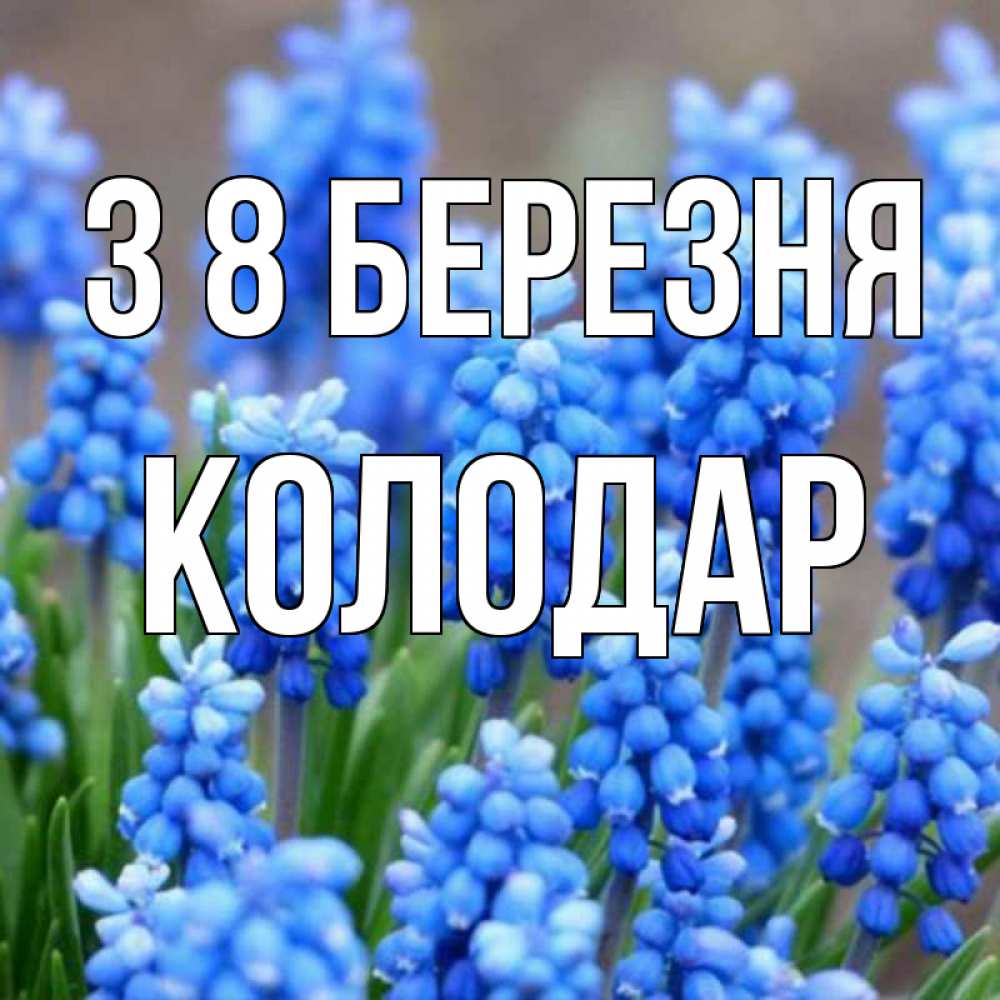 Открытка на каждый день з підписом, Колодар З 8 БЕРЕЗНЯ Поздравительная открытка для женщин с цветами на праздничную дату Прикольна листівка з побажанням онлайн скачати безкоштовно 