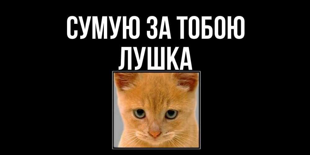 Открытка на каждый день з підписом, Лушка Сумую за тобою открытки рыжий котенок скучает по тебе Прикольна листівка з побажанням онлайн скачати безкоштовно 
