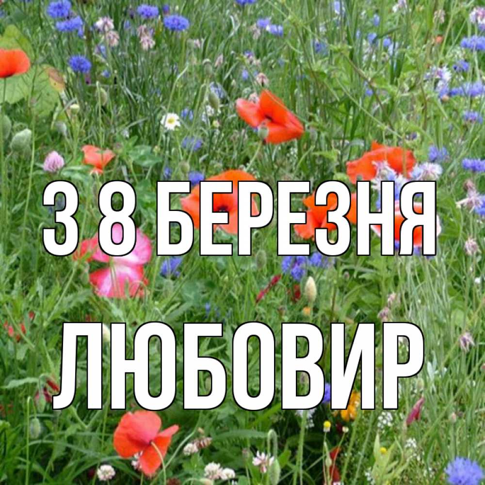 Открытка на каждый день з підписом, Любовир З 8 БЕРЕЗНЯ международный женский день 4 Прикольна листівка з побажанням онлайн скачати безкоштовно 