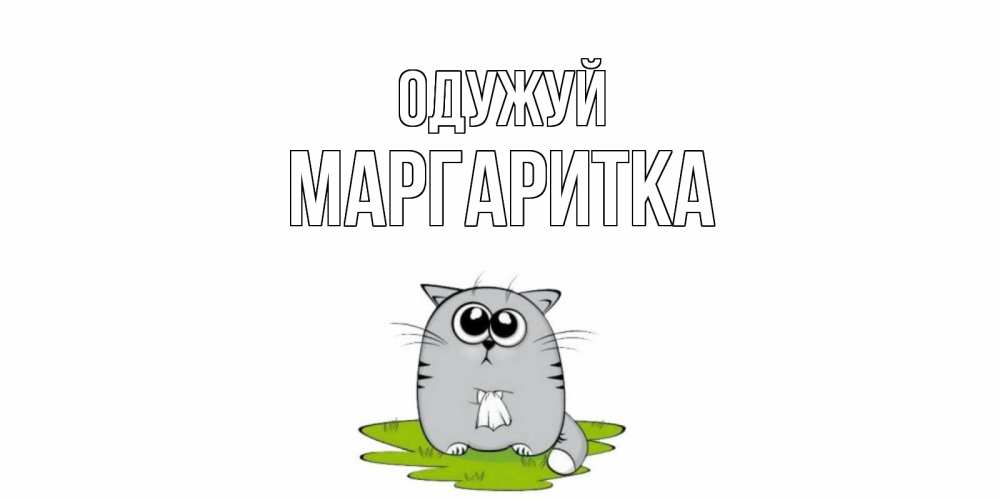 Открытка на каждый день з підписом, Маргаритка Одужуй кот и открытки про выздоровление Прикольна листівка з побажанням онлайн скачати безкоштовно 