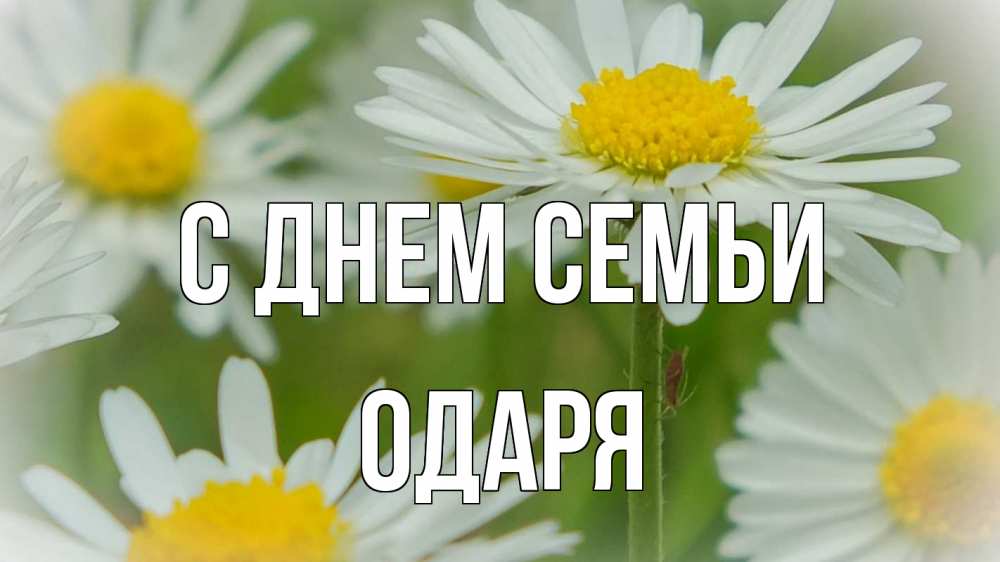 Открытка на каждый день з підписом, Одаря С днем семьи с днем семьи  1 Прикольна листівка з побажанням онлайн скачати безкоштовно 