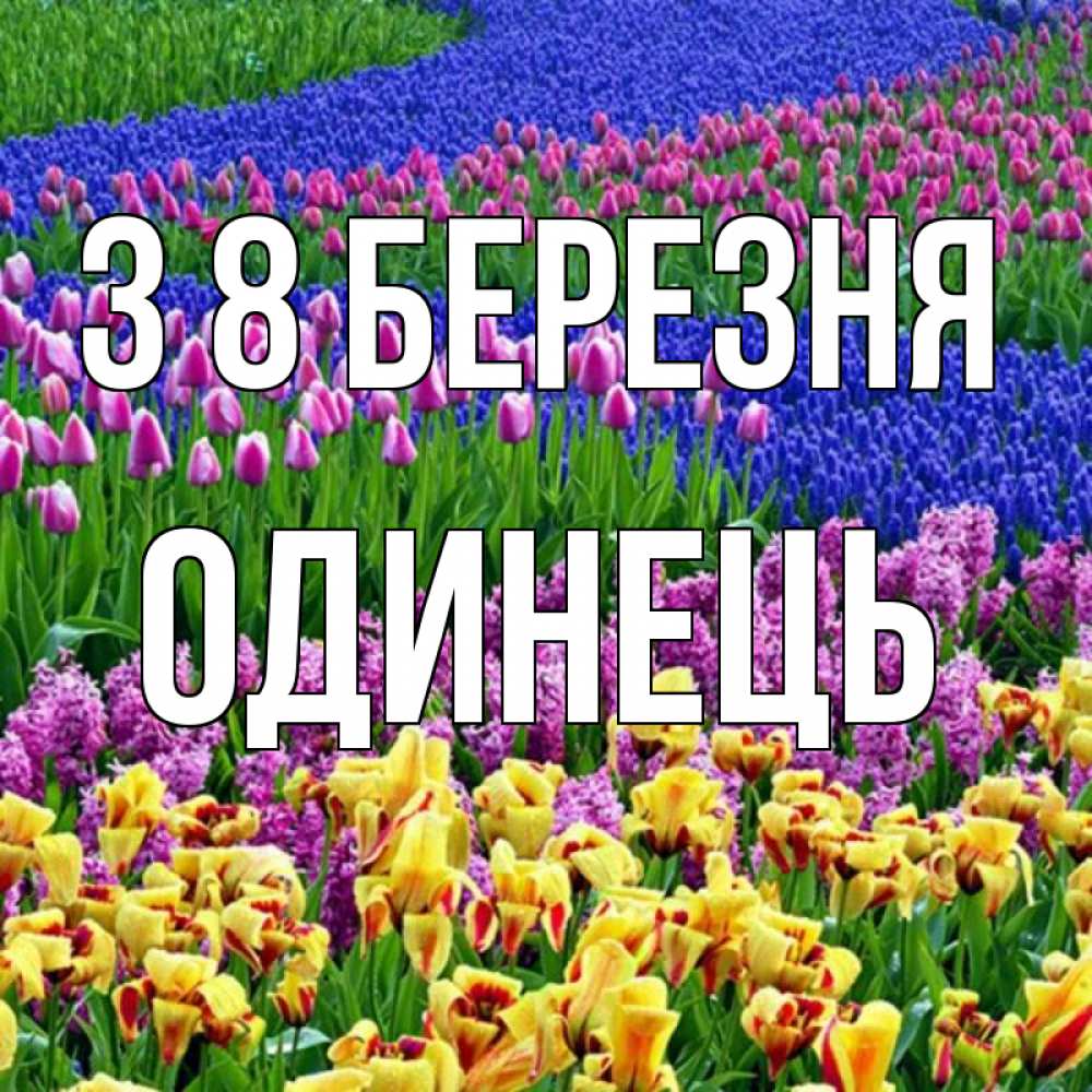 Открытка на каждый день з підписом, Одинець З 8 БЕРЕЗНЯ цветы Прикольна листівка з побажанням онлайн скачати безкоштовно 