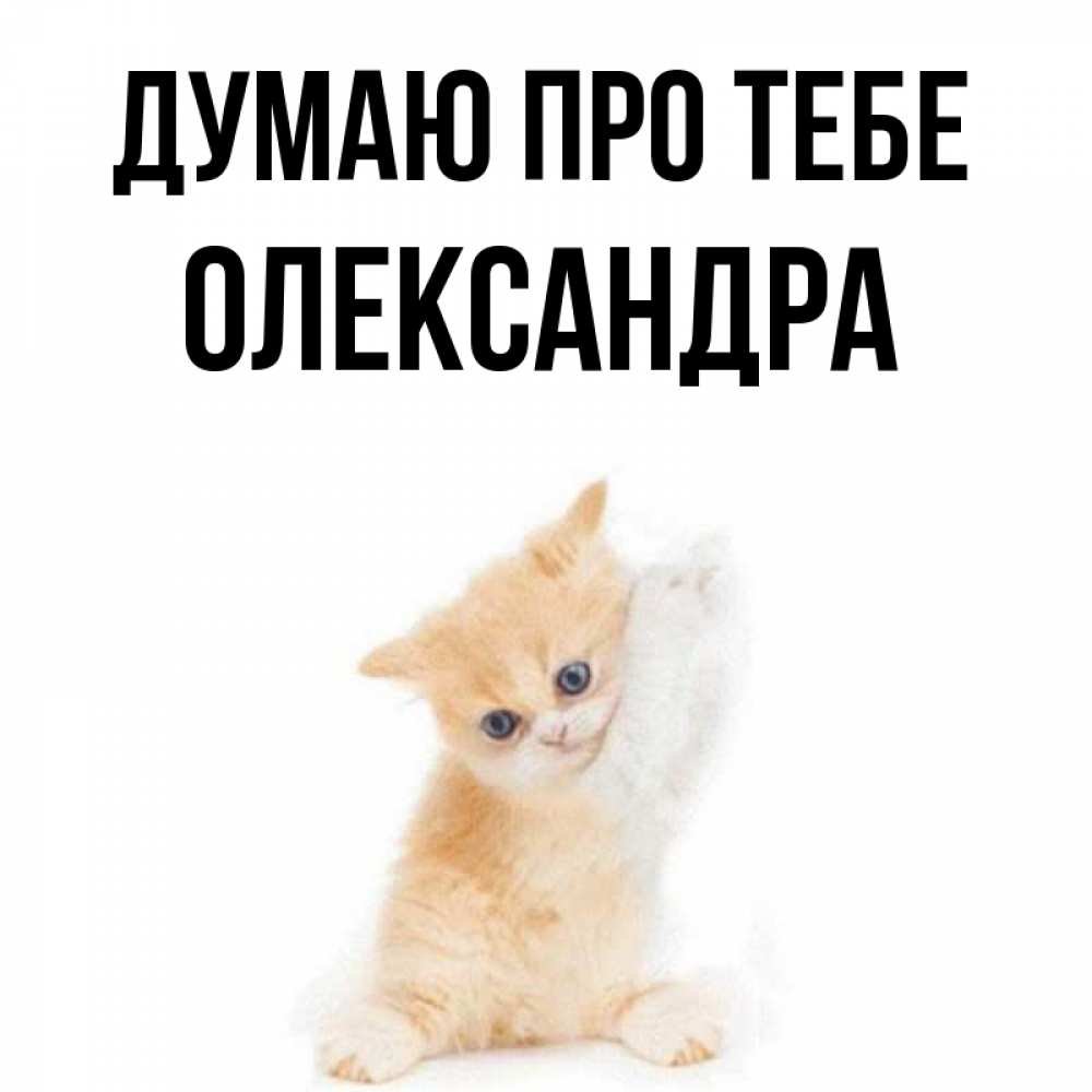 Открытка на каждый день з підписом, Олександра Думаю про тебе зверушки и милота Прикольна листівка з побажанням онлайн скачати безкоштовно 