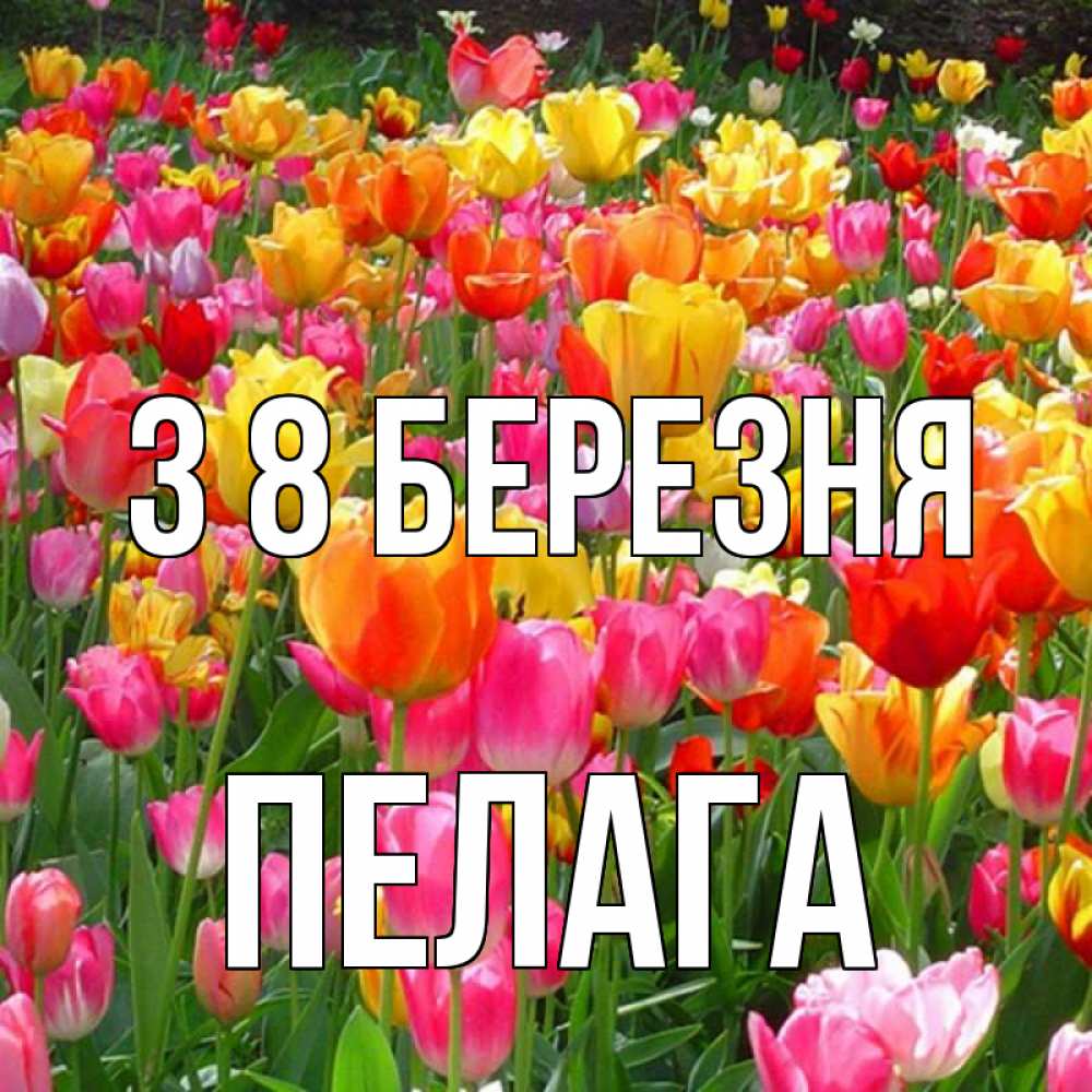 Открытка на каждый день з підписом, Пелага З 8 БЕРЕЗНЯ на международный женский день Прикольна листівка з побажанням онлайн скачати безкоштовно 