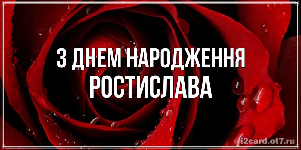 Открытка на каждый день з підписом, Ростислава З Днем народження крупная бордовая роза Прикольна листівка з побажанням онлайн скачати безкоштовно 