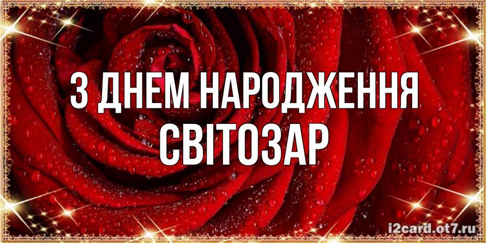 Открытка на каждый день з підписом, Світозар З Днем народження роса на розе блестящая в лучах солнца Прикольна листівка з побажанням онлайн скачати безкоштовно 