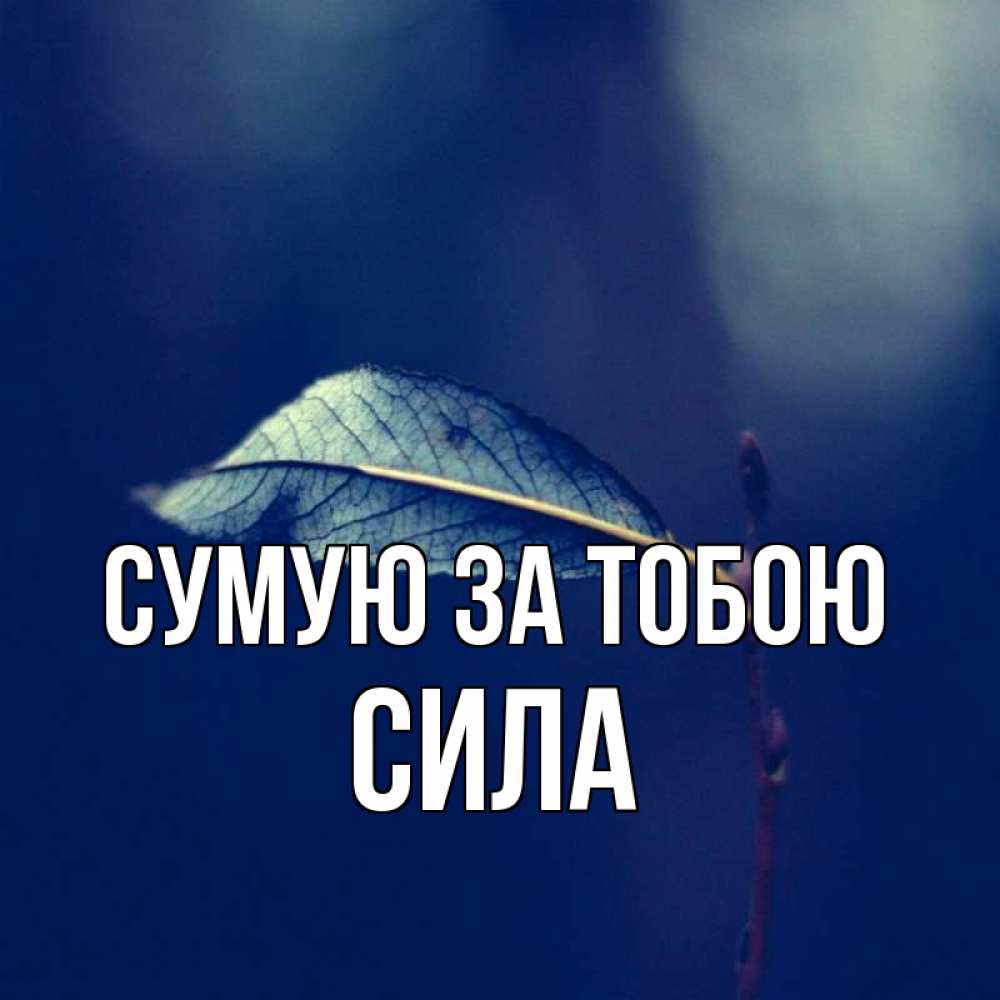Открытка на каждый день з підписом, Сила Сумую за тобою одна ветка 1 Прикольна листівка з побажанням онлайн скачати безкоштовно 