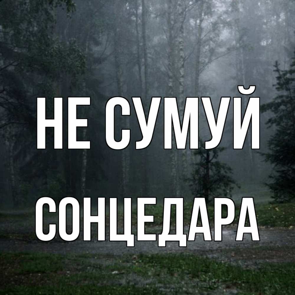 Открытка на каждый день з підписом, Сонцедара Не сумуй осень Прикольна листівка з побажанням онлайн скачати безкоштовно 