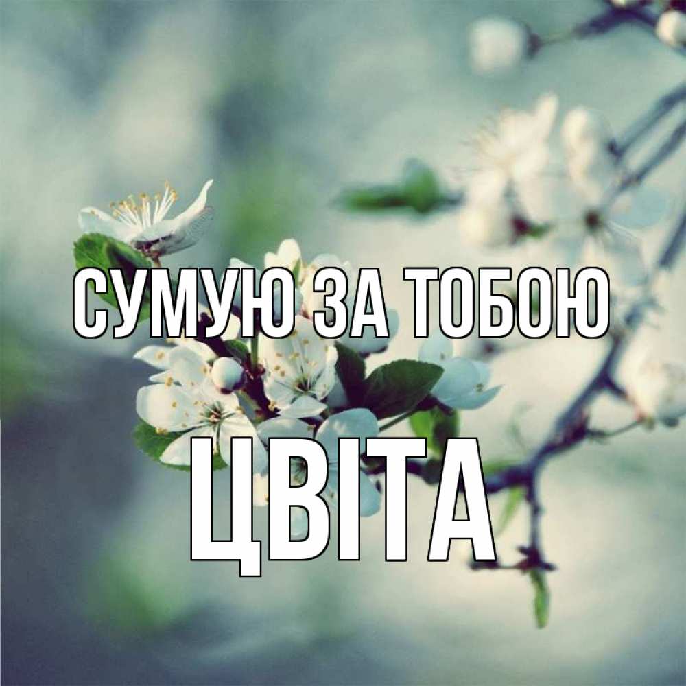 Открытка на каждый день з підписом, Цвіта Сумую за тобою весна Прикольна листівка з побажанням онлайн скачати безкоштовно 