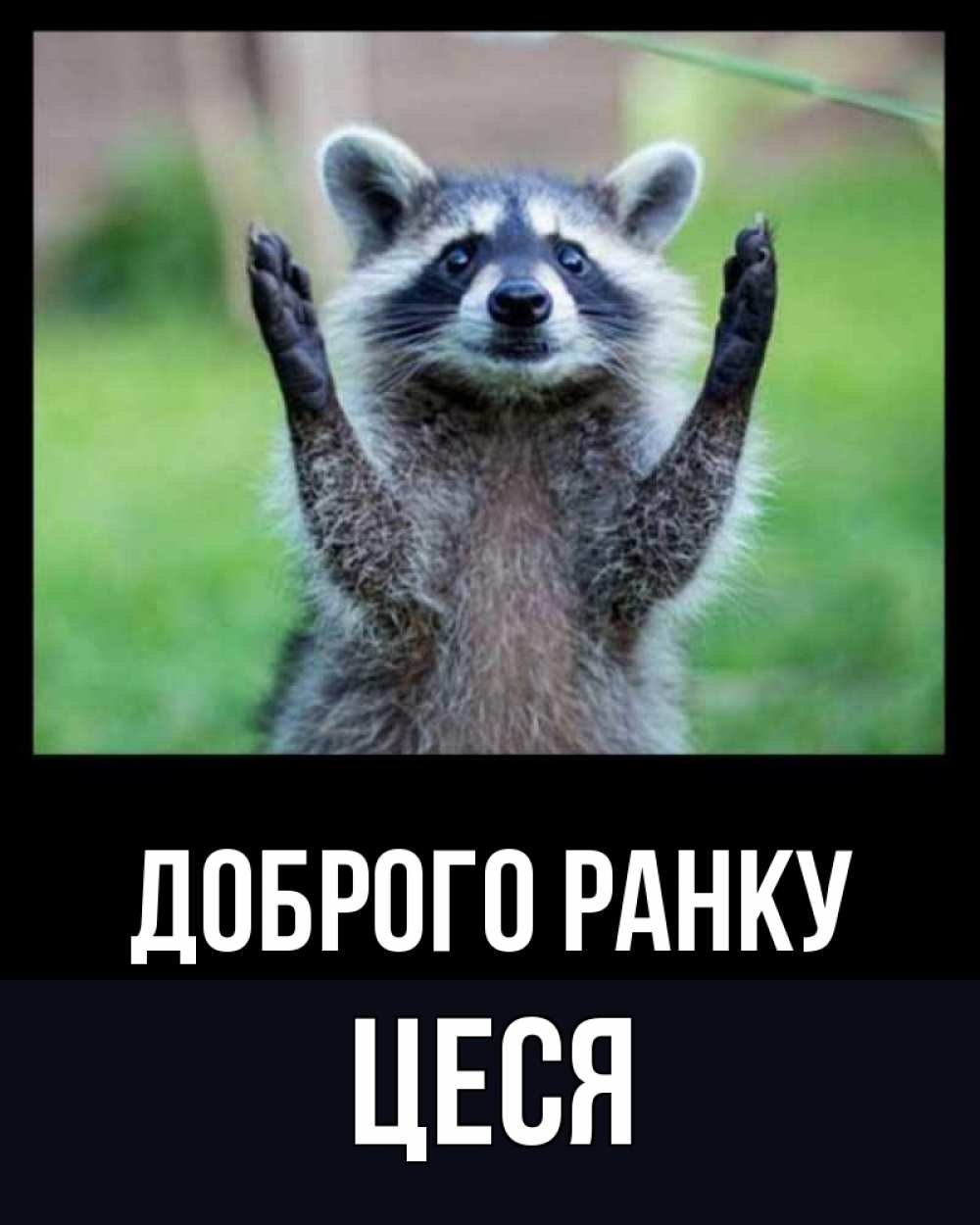 Открытка на каждый день з підписом, Цеся Доброго ранку хорошее настроение утречком Прикольна листівка з побажанням онлайн скачати безкоштовно 