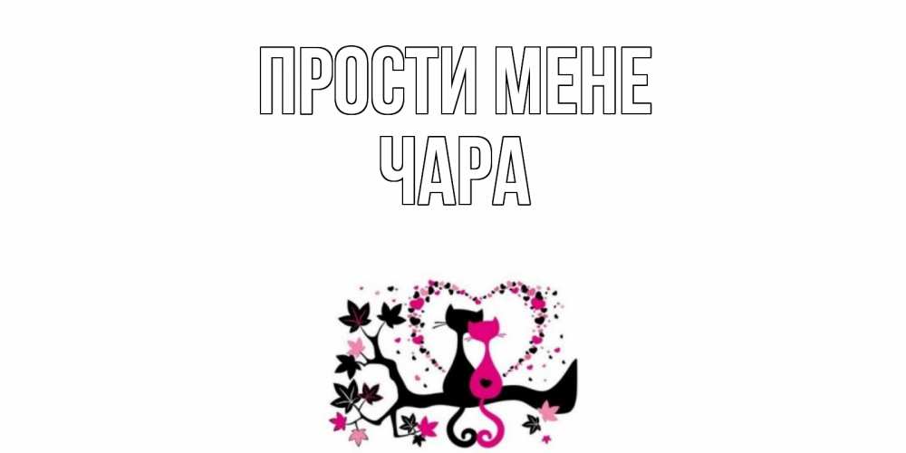 Открытка на каждый день з підписом, Чара Прости мене коты Прикольна листівка з побажанням онлайн скачати безкоштовно 