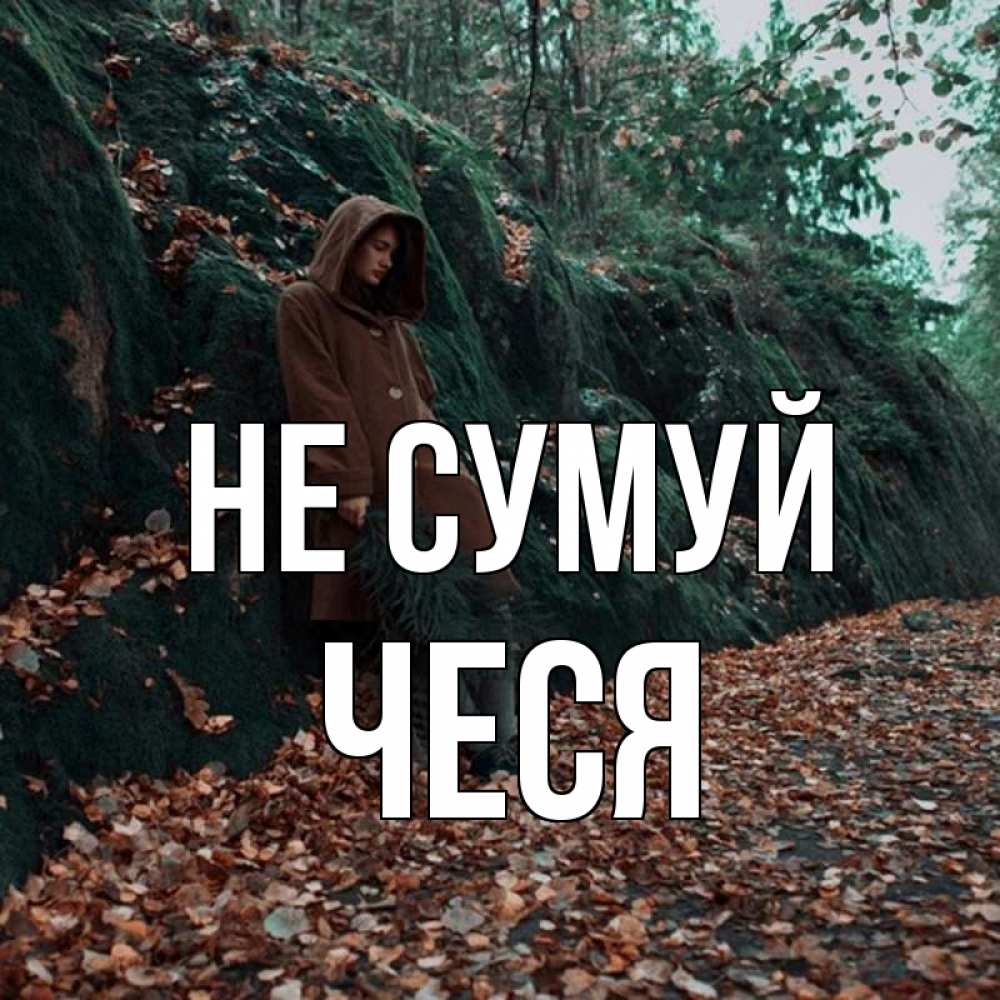 Открытка на каждый день з підписом, Чеся Не сумуй осенний лес Прикольна листівка з побажанням онлайн скачати безкоштовно 