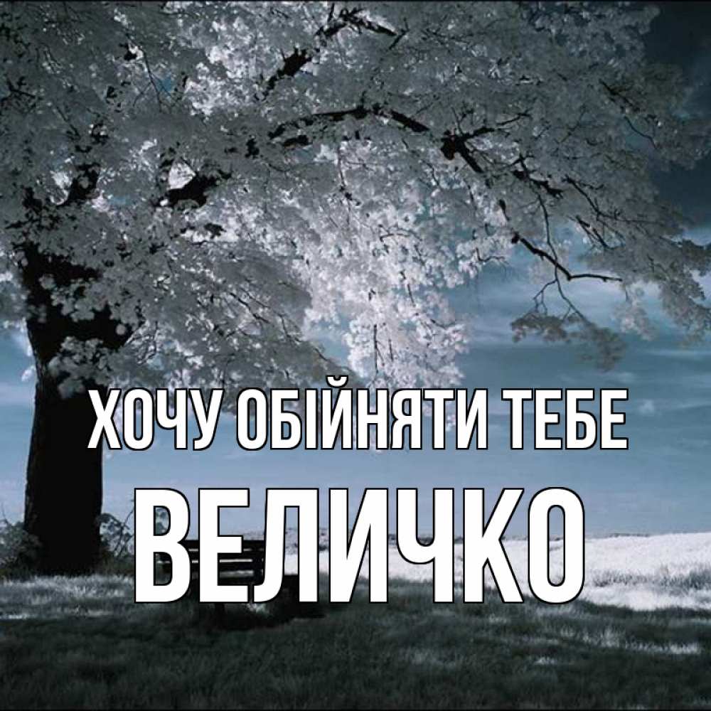 Открытка на каждый день з підписом, Величко Хочу обійняти тебе дерево Прикольна листівка з побажанням онлайн скачати безкоштовно 
