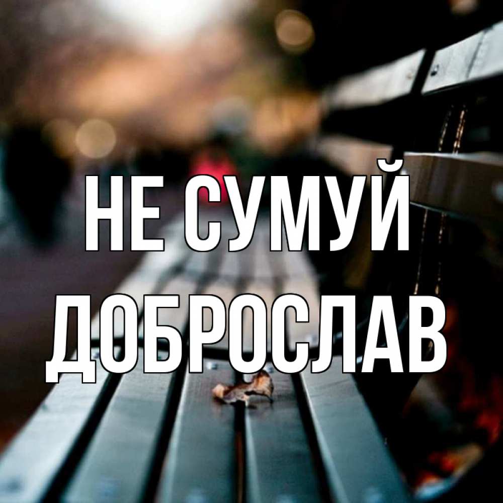 Открытка на каждый день з підписом, Доброслав Не сумуй размытый фон Прикольна листівка з побажанням онлайн скачати безкоштовно 