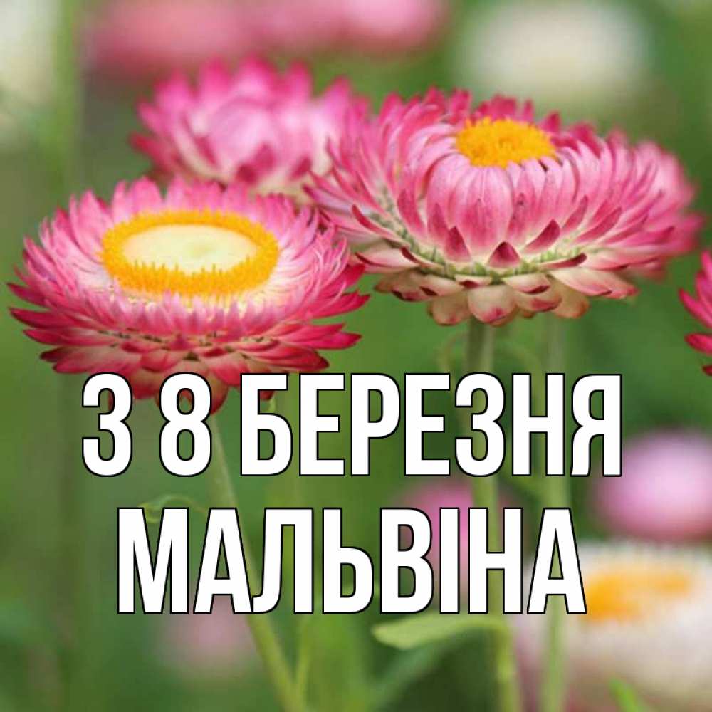Открытка на каждый день з підписом, Мальвіна З 8 БЕРЕЗНЯ подарок на международный женский день Прикольна листівка з побажанням онлайн скачати безкоштовно 
