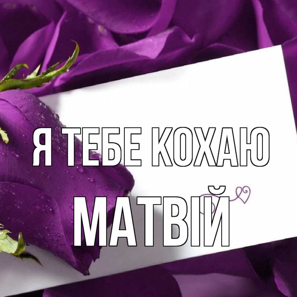 Открытка на каждый день з підписом, Матвій Я тебе кохаю роза Прикольна листівка з побажанням онлайн скачати безкоштовно 