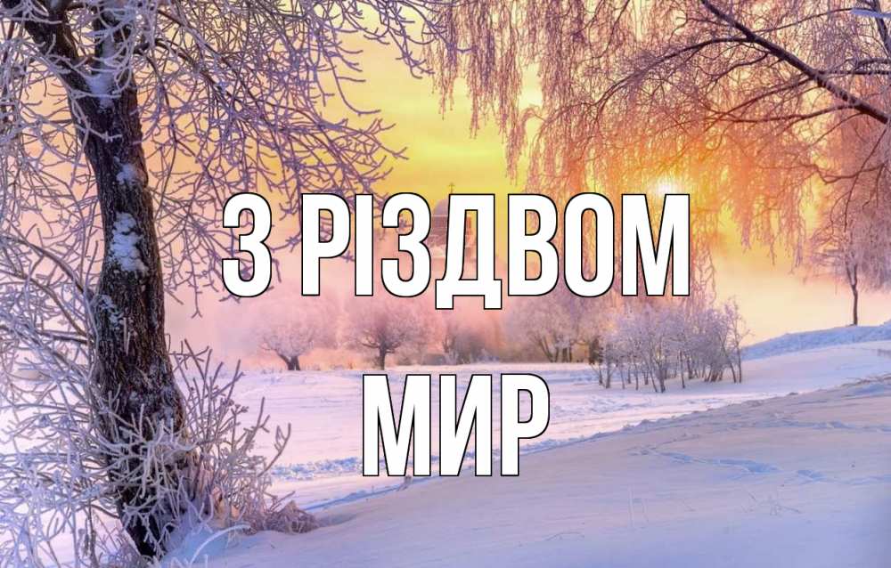 Открытка на каждый день з підписом, Мир З Різдвом рождество, лес, зима 1 Прикольна листівка з побажанням онлайн скачати безкоштовно 