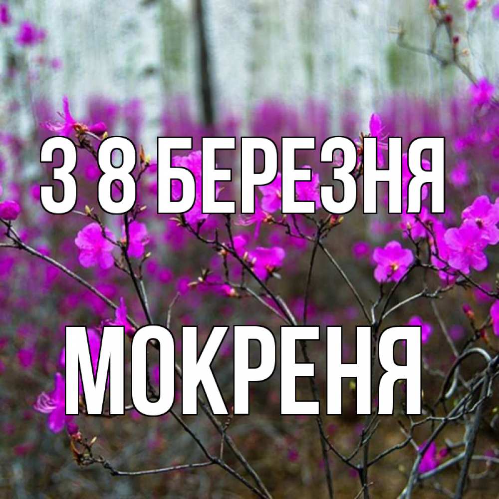 Открытка на каждый день з підписом, Мокреня З 8 БЕРЕЗНЯ дикие цветы Прикольна листівка з побажанням онлайн скачати безкоштовно 