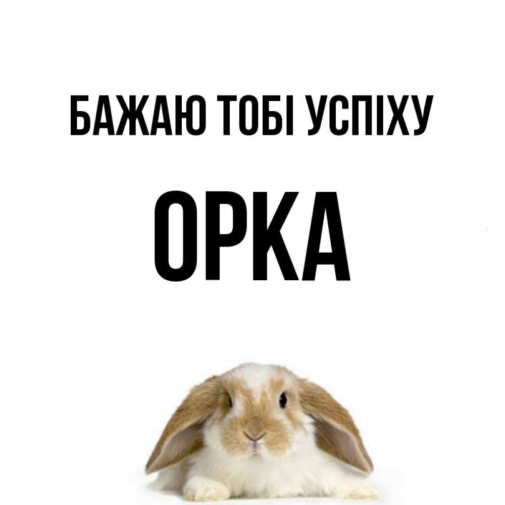 Открытка на каждый день з підписом, Орка Бажаю тобі успіху открытки с произвольным текстом который можно вставить в открытку и создать ее самостоятельно бесплатно онлайн Прикольна листівка з побажанням онлайн скачати безкоштовно 