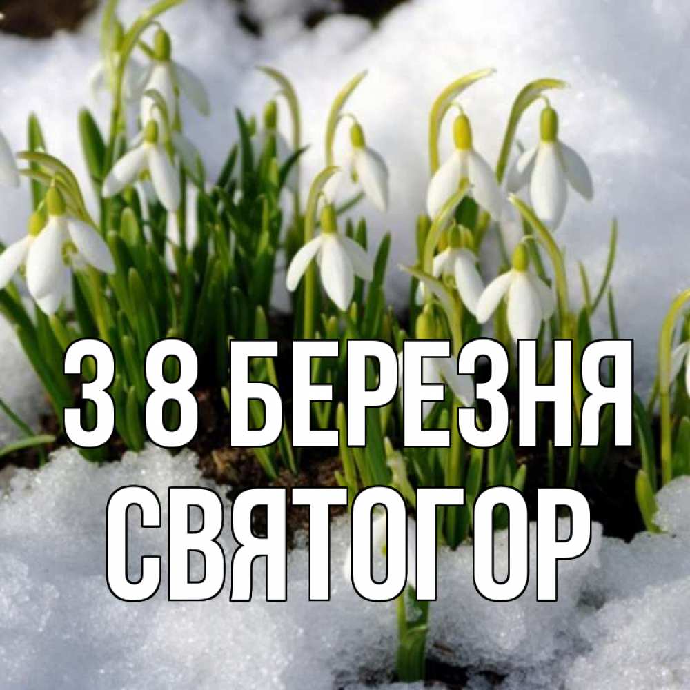Открытка на каждый день з підписом, Святогор З 8 БЕРЕЗНЯ цветы весенние Прикольна листівка з побажанням онлайн скачати безкоштовно 