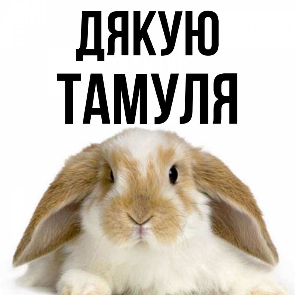 Открытка на каждый день з підписом, Тамуля Дякую коричнево белый заяц Прикольна листівка з побажанням онлайн скачати безкоштовно 
